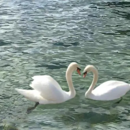 Svanen Am דירה *