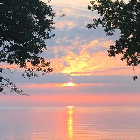 Svanen Am טימנדורפר שטרנד